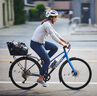 崔克（TREK）BACKRACK MIK輕量化堅(jiān)固耐腐蝕自行車后貨架 黑色 曬單實(shí)拍圖