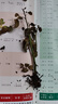 瑞典女王月季夏季耐曬灌木月季帶花苞四季開花玫瑰大苗陽(yáng)臺(tái)庭院 艾莎+果汁陽(yáng)臺(tái)兩顆原盆原土發(fā)貨小苗 曬單實(shí)拍圖