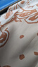 JRET美式滿印短袖襯衫女夏季卡通薄款學院風寬松設計感小眾襯衣外套潮 白色【滿印英文熊】 L 曬單實拍圖