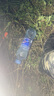 科學怪獸機器狗兒童玩具男孩智能ai編程人生日禮物遙控汽車6-8-12歲 曬單實拍圖