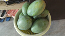 京鮮生 攀枝花凱特芒果 凈重8.5斤 帶箱9斤 單果400g+ 生鮮水果源頭直發(fā) 曬單實拍圖