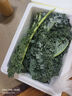 羽衣甘藍(lán)新鮮生鮮蔬菜嫩葉甘蘭芥藍(lán)西餐沙拉榨汁減肥減脂 羽衣甘藍(lán)閨蜜2斤裝 曬單實(shí)拍圖