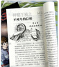 【包郵】故事大王雜志2025年1-8月新【全年/半年訂閱/2024年1-12月可選】中小學(xué)生童話歷史兒童文學(xué)課外閱讀非過(guò)刊書(shū)籍 現(xiàn)貨【全年珍藏】24年1-12月 曬單實(shí)拍圖