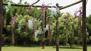 適馬（SIGMA）56mm F1.4 DC DN｜Contemporary 半畫幅大光圈定焦鏡頭 人像特寫（適馬56 f1.4索尼E卡口） 曬單實拍圖
