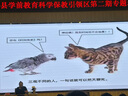 大王（GOO.N）【品牌直供 安心品質(zhì)】光羽致本之源 光之羽新品超薄尿不濕紙尿褲 【重磅新品】光之羽紙尿褲 S56片 曬單實(shí)拍圖