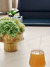 Member's Mark 香菇青菜包 1.3kg 20個(gè)裝 1.3kg 曬單實(shí)拍圖