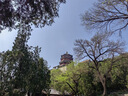 海爾（Haier）波輪洗衣機(jī)全自動(dòng)10公斤大容量 一級(jí)能效 懶人家電國(guó)家補(bǔ)貼20% 以舊換新 XQB100-Z719 超凈洗 家用 曬單實(shí)拍圖