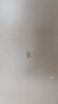 蝴蜻蜓【實(shí)木·包安裝】衣柜臥室簡(jiǎn)約輕奢儲物衣櫥加厚背板大衣柜 【實(shí)木】2.8m主柜+頂柜 曬單實(shí)拍圖
