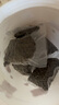 愛肯拿（ACANA）貓糧 牧場盛宴成貓幼貓糧 高蛋白無谷進口雞肉糧1.8kg效期26/4 曬單實拍圖