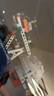 樂高（LEGO）積木拼裝31156 熱帶風尤克里里兒童女孩女生玩具生日禮物 曬單實拍圖