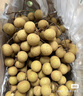 正宗石硤龍眼百年老樹(shù)大果肉厚核小現(xiàn)摘現(xiàn)當(dāng)季生鮮桂圓產(chǎn)地直發(fā) 【凈重8斤】石硤龍眼 曬單實(shí)拍圖