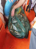 獵途潛水超強(qiáng)光手電P90大光杯遠(yuǎn)射深防海水海捉魚水下蝦蟹照明作業(yè)燈 超強(qiáng)光p90  白光裸燈 無電池 曬單實(shí)拍圖