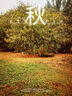 駱駝（CAMEL）彈力速干褲男士束腳寬松戶外休閑運(yùn)動(dòng)跑步長(zhǎng)褲子夏季M14BAZ9095 曬單實(shí)拍圖