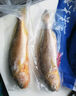 1號會員店【山姆同廠】冷凍寧德三去大黃魚 黃花魚 凈重700g/2條裝 水產(chǎn)魚 曬單實拍圖