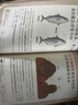 遺憾的進(jìn)化大合集（全6冊）生物科普 動物植物細(xì)菌進(jìn)化 爆笑冷知識 培養(yǎng)閱讀興趣 開拓思維  7- 曬單實(shí)拍圖