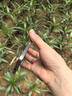 V-TEETH I16ProMax新款靈動(dòng)島快捷拍照智能手機6.9英寸高清屏1T內存全網(wǎng)通學(xué)生游戲電競續航老人備用機 原色鈦 【原廠(chǎng)包裝】12GB+512GB 曬單實(shí)拍圖