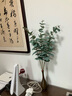 銅師傅  《雅致花瓶》客廳 桌面 銅擺件 家居裝飾工藝品 曬單實拍圖