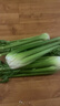 京鮮生山東新鮮大西芹凈重4.5斤榨汁現(xiàn)挖芹菜鮮嫩蔬菜 去半葉源頭直發(fā) 曬單實拍圖