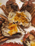 【活蟹】陽澄戰(zhàn)地大閘蟹 鮮活大螃蟹可全母蟹 海鮮水產(chǎn)生鮮禮盒 公4.5-4.8兩母3.5-3.8兩5對10只 曬單實(shí)拍圖