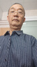 啄木鳥(niǎo)（TUCANO）桑蠶絲短袖襯衫男夏季薄款抗皺免燙商務(wù)襯衣男士亞麻襯衫條紋半袖 藍(lán)灰 175/XL 曬單實(shí)拍圖