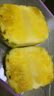 特價金鉆鳳梨新鮮大果菠蘿整箱水果風梨手撕現(xiàn)貨直發(fā)脆甜多汁鳳梨 小果0.8斤-1.2斤3-4個 凈重3斤 曬單實拍圖