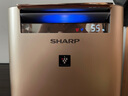 夏普 （SHARP）空氣凈化器消毒機 家用室內(nèi)除甲醛 消毒凈化機 除霧霾異味煙塵殺菌除異味  KC-GG50-N 無霧加濕金色 曬單實拍圖