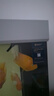 活體寵物熱帶觀(guān)賞魚(yú)黃鸚鵡黃金元寶黃財神發(fā)財魚(yú)中大型魚(yú)活體黃金鸚鵡包活 16-18cm黃金鸚鵡 曬單實(shí)拍圖