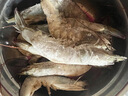 GUO LIAN國聯 生鮮鹽凍大蝦 無冰凈重3斤 鹽凍特大號45-60只 海產冷凍蝦 曬單實拍圖