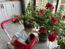 kidpop兒童多功能小推車(chē)玩具學(xué)步車(chē)男女寶寶生日創(chuàng)意禮物 7-36個(gè)月價(jià)保 紅色（PP材質(zhì)車(chē)斗）贈(zèng)防傾倒?fàn)坷K 曬單實(shí)拍圖