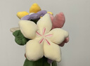 Jellycat趣味花束手捧花趣味植物毛絨玩偶公仔植物娃娃送禮生日新婚禮物 趣味花束 One Size 曬單實(shí)拍圖