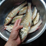 漢鼎洛銘魚竿釣魚竿手竿碳素超輕超硬臺釣竿鯉魚竿鯽魚竿大物竿漁具品牌 6.3米6H19調(diào)大物通殺版+釣魚禮包 曬單實拍圖