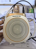得勝（TAKSTAR）E10小蜜蜂擴音器教師專用擴音器小巧便攜擴音器戶外上課寶地攤小喇叭導游無線擴音器 E10象牙白標配【贈金屬鏈條】 曬單實拍圖