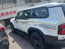 尚銳杰適用于2024新款普拉多車貼拉花霸道改裝飾貼花車身彩條汽車 款式1 【國產(chǎn)材質(zhì)】 曬單實(shí)拍圖