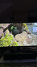 三星（SAMSUNG）27英寸 OLED 240Hz 2K  防燒屏技術(shù)防眩光 G61SD  電競(jìng)顯示器 LS27DG610SCXXF 曬單實(shí)拍圖