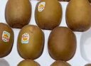 佳沛（zespri）新西蘭  陽光金奇異果巨大果22粒原箱 單果重約144-175g 獼猴桃 曬單實拍圖