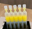 夸迪次拋舒潤穩(wěn)肌懸油次拋精華液1ml*30支玻尿酸修護華熙生物 曬單實拍圖