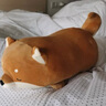 名創(chuàng)優(yōu)品（MINISO）柴犬系列毛絨公仔趴姿玩具娃娃抱枕睡覺室內(nèi)臥室辦公室生日禮物 曬單實拍圖