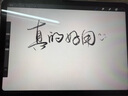 蘋果Apple Pencil 一代/二代 蘋果手寫筆二手蘋果手寫筆/電容筆/觸控筆二手平板電腦配件 蘋果Pencil 一代手寫筆 單筆【99新】 曬單實(shí)拍圖