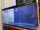 閩江（minjiang）大型魚(yú)缸客廳家用落地底過(guò)濾水族箱生態(tài)免換水辦公室風(fēng)水龍魚(yú)缸 黑色 180長(cháng)60寬160高【窄邊款】+688過(guò)濾套餐 曬單實(shí)拍圖