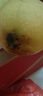 譯優(yōu)農(nóng)正宗海南三亞金煌芒新鮮特大芒果甜心芒黃皮水仙當季熱帶水果送禮 9斤精品特大果 曬單實拍圖