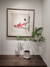 華香蘭藝華香園紅觀(guān)音竹內門(mén)紫紅寒文米竹子苗盆栽景素材耐陰書(shū)房室內綠植 紅觀(guān)音3-4桿 原盆原土發(fā)貨 曬單實(shí)拍圖