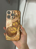 魔巖金絲葫蘆適用蘋果16手機殼iPhone16promax女新款中國風(fēng)15鏡頭全包14Pro保護(hù)套高檔皮紋輕薄男女 皮紋殼-金絲紫葫蘆-贈短紫繩 蘋果15ProMax 曬單實拍圖