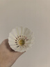 WIILAON黑威肯巧羽毛球金威紅威藍(lán)威耐打穩(wěn)定訓(xùn)練比賽專用12只裝羽毛球 金威【比賽耐打】12個裝 76速 1筒 曬單實(shí)拍圖