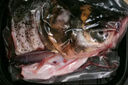 其他品牌【凈菜】冰鮮胖頭魚(yú)頭 450g 曬單實(shí)拍圖