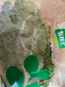 有機(jī)匯有機(jī)羽衣甘藍(lán) 健身輕食榨汁沙拉新鮮蔬菜 有機(jī)種植無(wú)農(nóng)殘當(dāng)天采摘 500g 曬單實(shí)拍圖