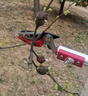 美科（MYTEC）摘水果神器伸縮高枝剪高空剪園林專用摘荔枝桂圓摘枇杷摘果剪刀采 1.3-2.2米可伸縮【2段】 曬單實(shí)拍圖