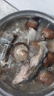 【去頭去尾】自曬馬鮫魚干鲅魚段咸鲅魚干海魚咸魚干小干魚干貨 2斤（全是魚段）店長推薦新建 曬單實(shí)拍圖
