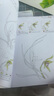 美學(xué)大師 彩鉛技法教程 入門(mén)自學(xué)零基礎臨摹本教材書(shū)籍 專(zhuān)業(yè)手繪花卉花鳥(niǎo)動(dòng)物多肉風(fēng)景人物繪畫(huà)畫(huà)冊集彩色 曬單實(shí)拍圖