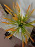 時(shí)鳥(niǎo)仿真花水稻麥穗稻谷干花稻穗塑料花藝拍攝道具裝飾商場(chǎng)客廳擺放 7叉麥穗【1束】 曬單實(shí)拍圖