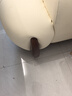 卡爾適意式極簡頭層真皮沙發(fā)大小戶型客廳現(xiàn)代輕奢三人直排一字沙發(fā)妮可 【云端舒適坐感】2.8米多人位 【S+級(jí)進(jìn)口納帕頭層皮】旗艦版 曬單實(shí)拍圖